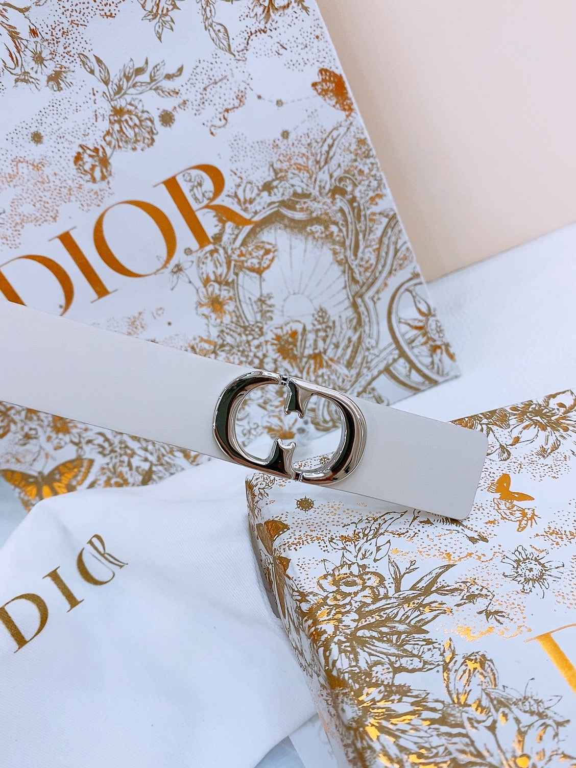 DIOR 25S BELT 25 MM IN WHITE CALFSKIN 561820